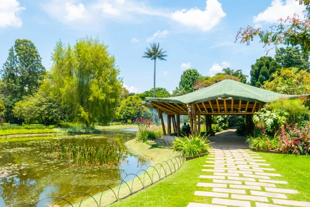 Imagen del jardín botánico de Bogotá